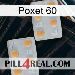 Poxet 60 25